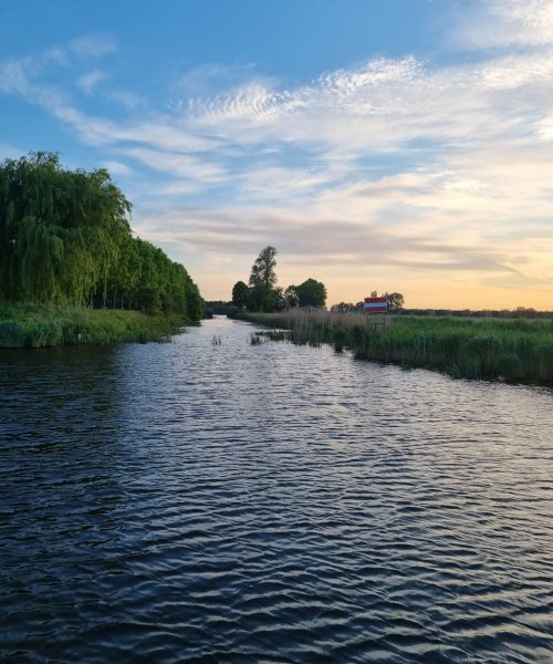 Steenbergse vliet natuur